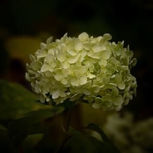 Meet your Posher, Cassie